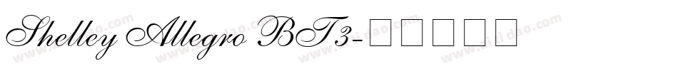 Shelley Allegro BT3字体转换